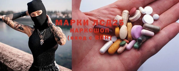 ГАЛЛЮЦИНОГЕННЫЕ ГРИБЫ Аркадак
