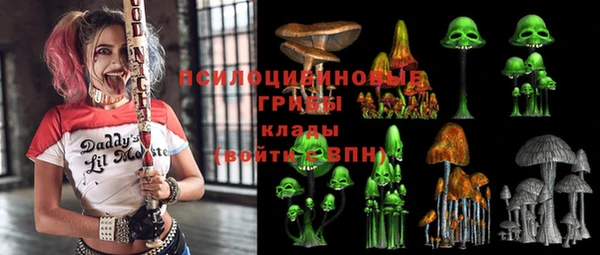 крисы Арсеньев