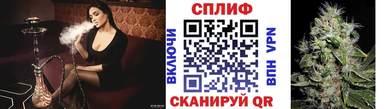 Канабис конопля Долинск